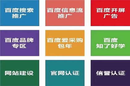案例剖析：百度SEO推广公司如何助力企业飞速发展